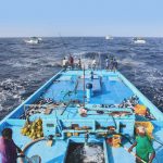 Nachhaltige Fischerei im Indischen Ozean