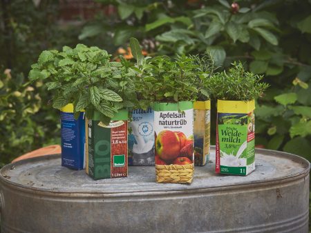 Upcycling - Kräutertöpfe aus leeren Milch- und Saftpackungen