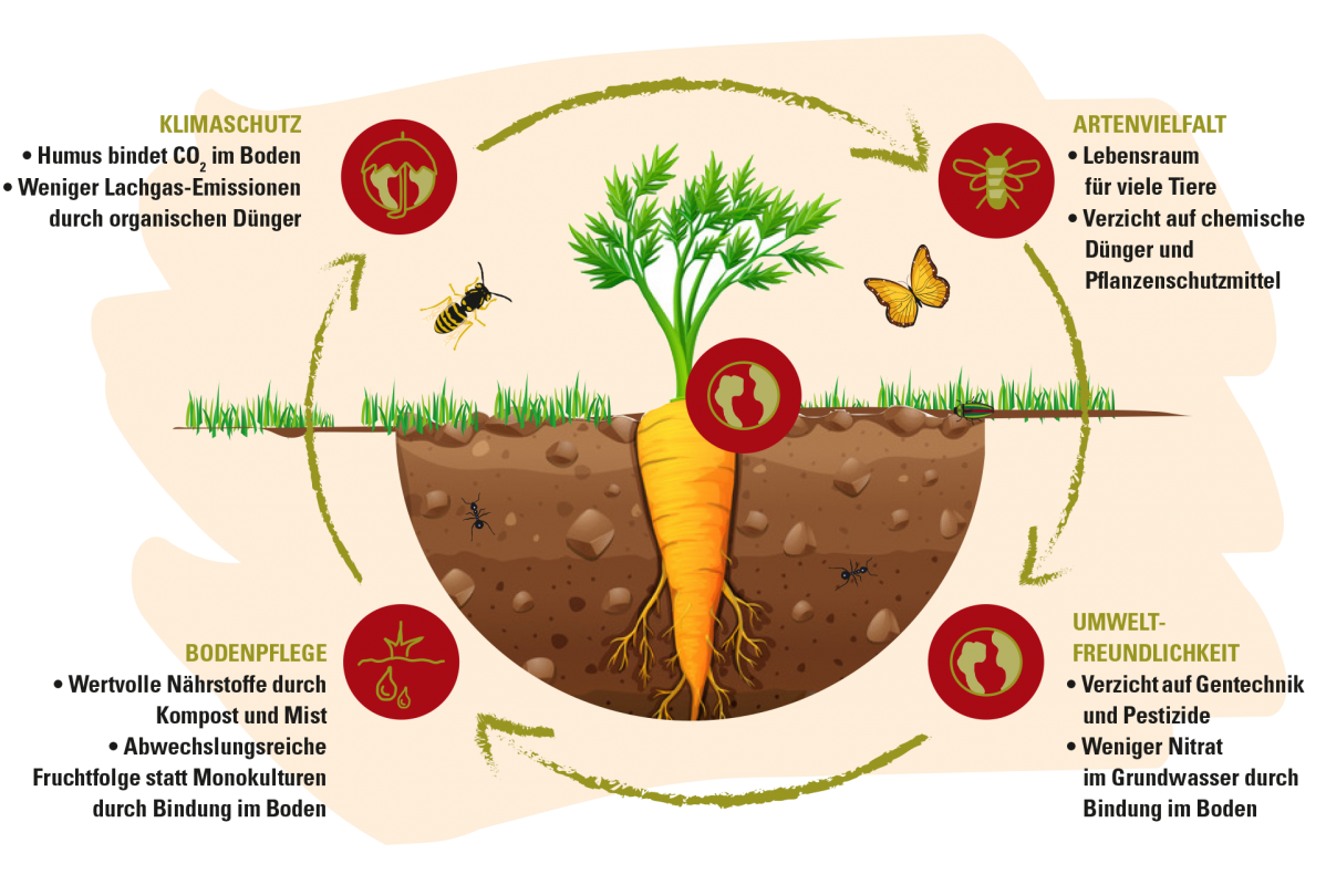 BioProdukte bei EDEKA Südwest zukunftleben