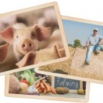 Nachhaltiges Handeln – WWoofing