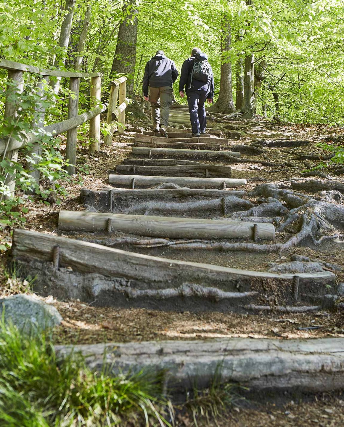 Wandern im Odenwald