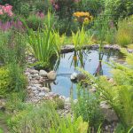 Teich-Biotop, Gartenteich