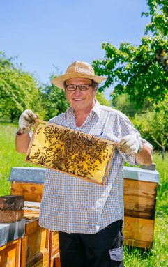 Imker präsentiert eine Wabe mit Bienen