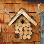 Vogelhaus-Challenge