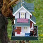 Vogelhaus-Challenge - Restaurant-Vogelhaus