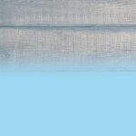 Vogelhaus-Challenge
