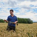 Der Landwirt mit Getreide in der Hand