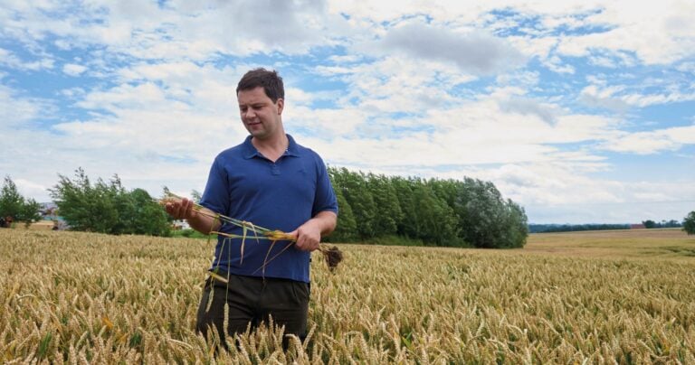 Der Landwirt mit Getreide in der Hand