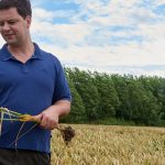 Der Landwirt mit Getreide in der Hand