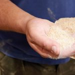 Das natürliche und gentechnisch unveränderte Futter