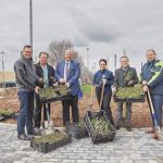 Beim Projekt „Lebendiger Weinberg“ werden Pflanzpakete verteilt