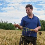 Der Landwirt mit Getreide in der Hand