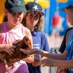 Kinder füttern das Huhn aus der Hand
