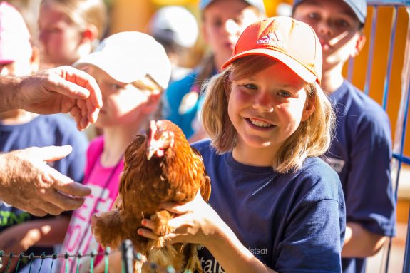 Kinder hält das Huhn in der Hand