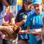 Kinder füttern das Huhn aus der Hand