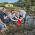 Lachs-Aktion in der Kinzig mit EDEKA Armbruster