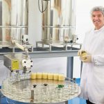 Der Honig wird in die Gläse abgefüllt