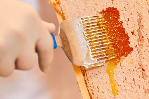 Entfernen der Wachsschicht mit spezieller Gabel