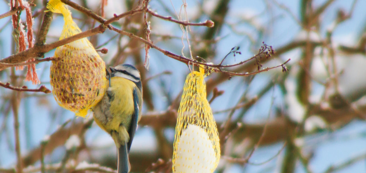 GettyImages 638063000 1920×1280