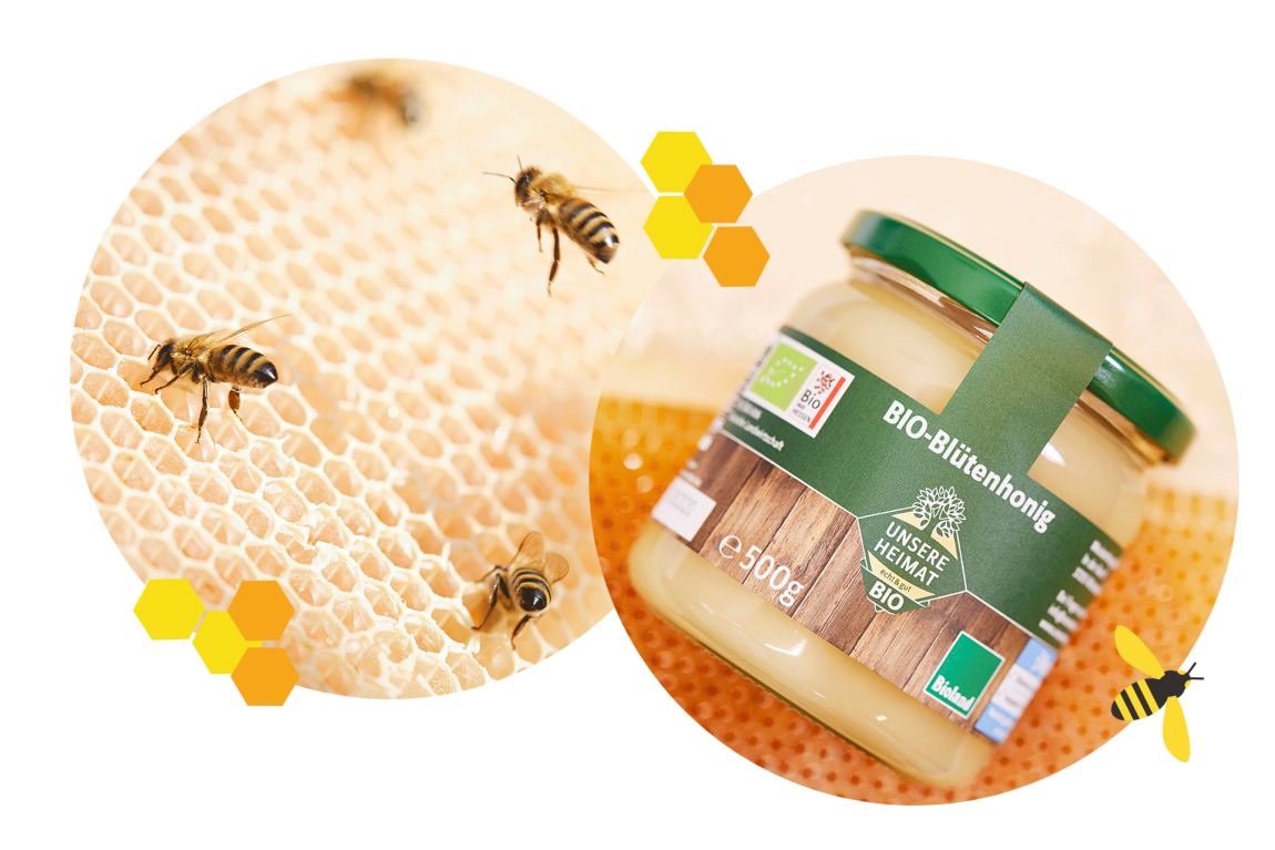 Flüssiges Gold: was Bio-Honig so besonders macht - #zukunftleben