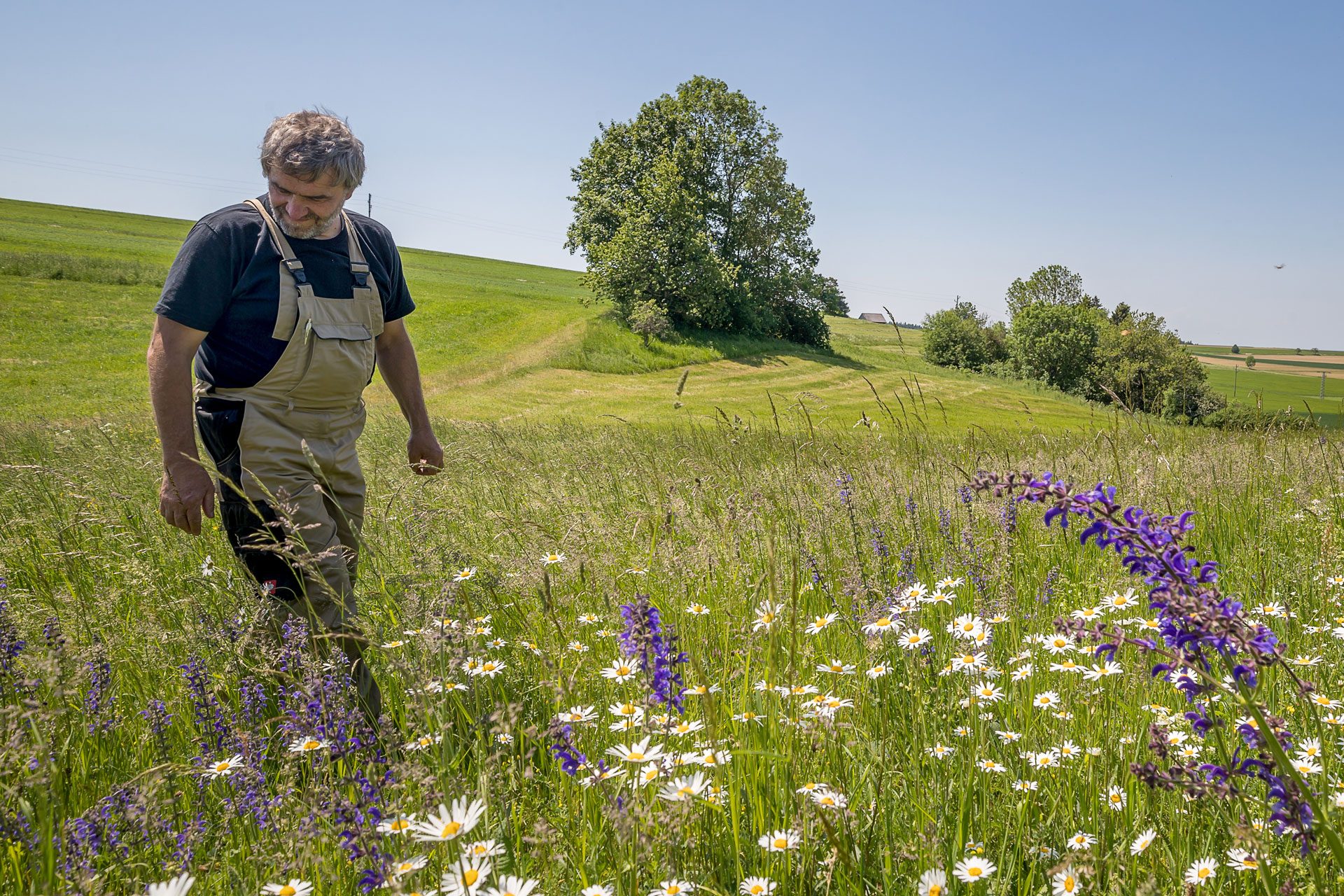 Im Einklang mit der Natur: Landwirtschaft für Artenvielfalt - #zukunftleben