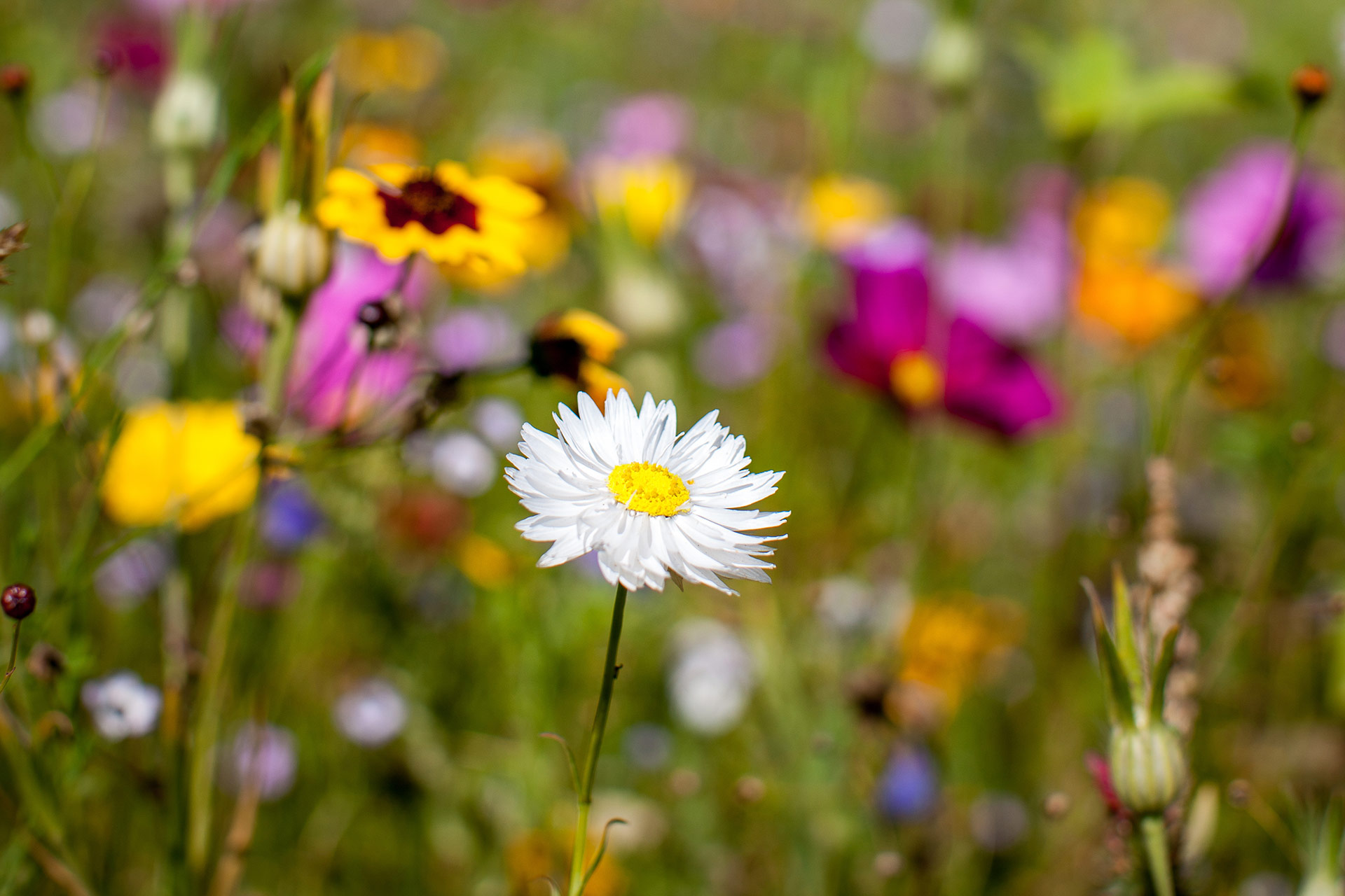 Unsere Heimat & Natur Vereinigung der Jäger des Saarlands zukunftleben