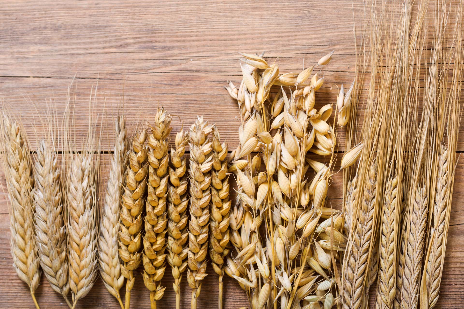 Heimisches Getreide: So unterscheiden sich die verschiedenen Arten - # ...