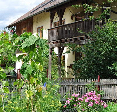 Dsc 1256 Crop U861