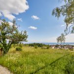 Blühwiese mit Panoramablick auf den Bodensee bei Meersburg