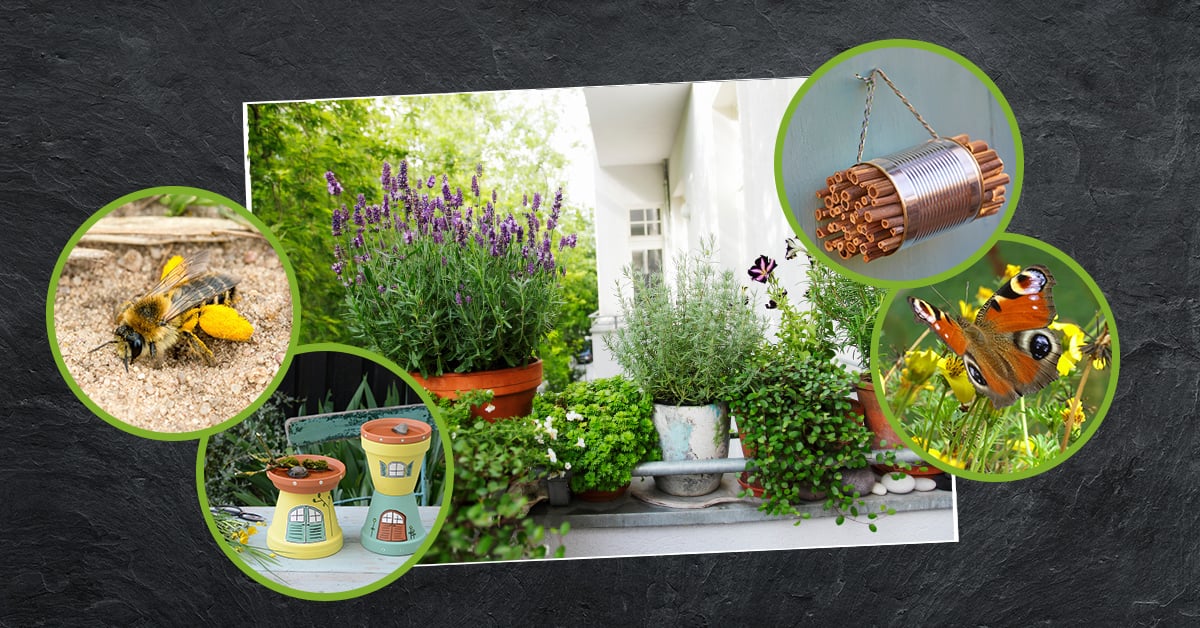 Praktische Tipps So wird Ihr Balkon zum Insektenparadies zukunftleben