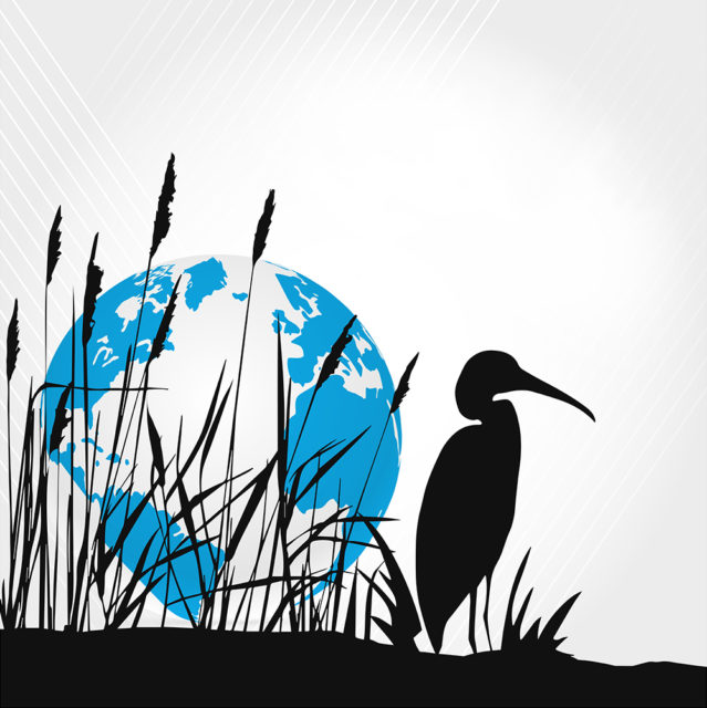 Feuchtgebiete Darum sind diese Ökosysteme so wichtig zukunftleben