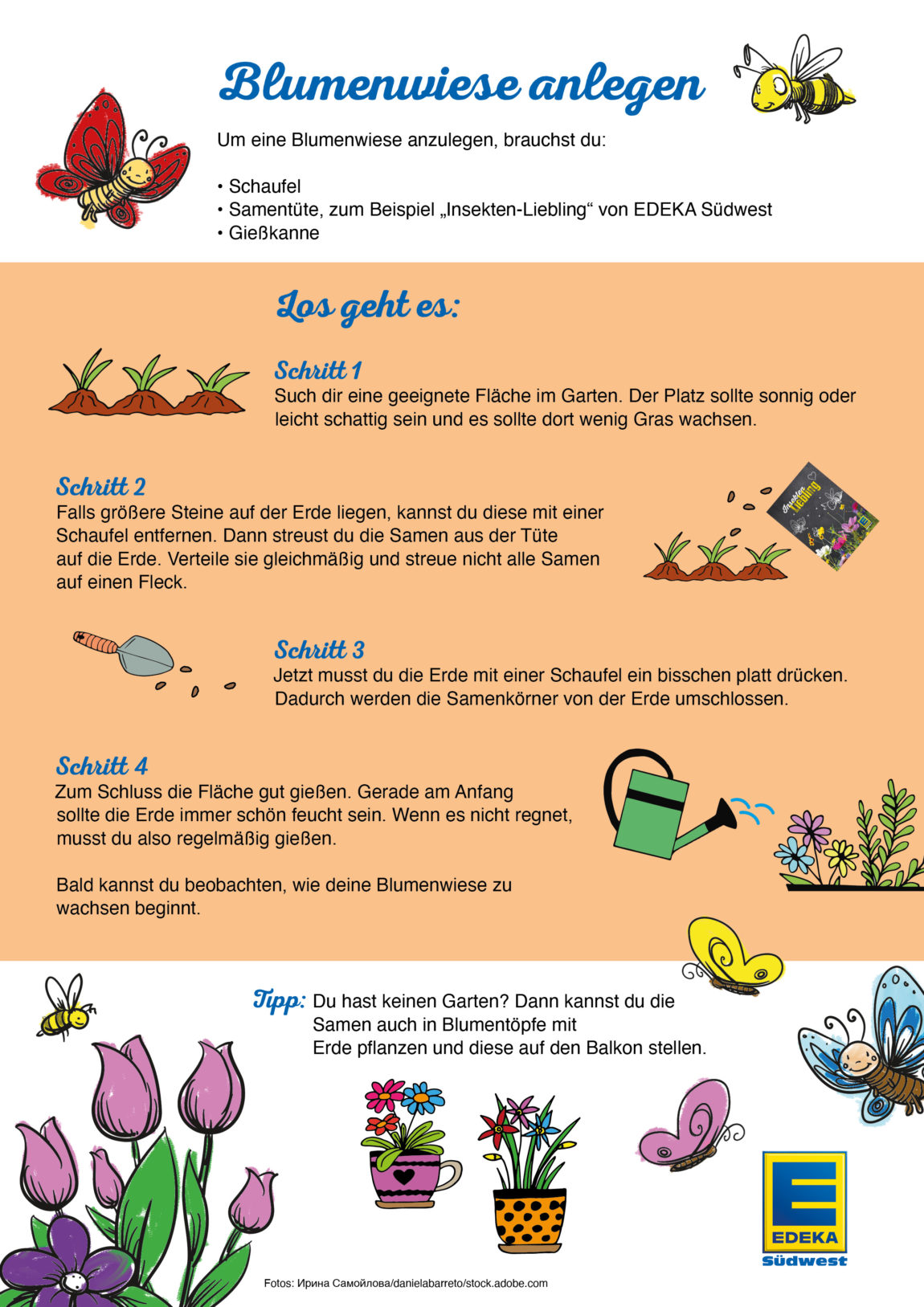 Gemeinsames Naturerlebnis mit Kindern eine Blumenwiese anlegen 