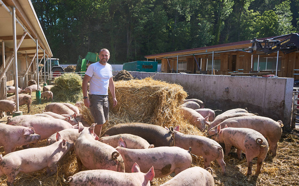 Header 1200×628 2306 Bio Story Schwein