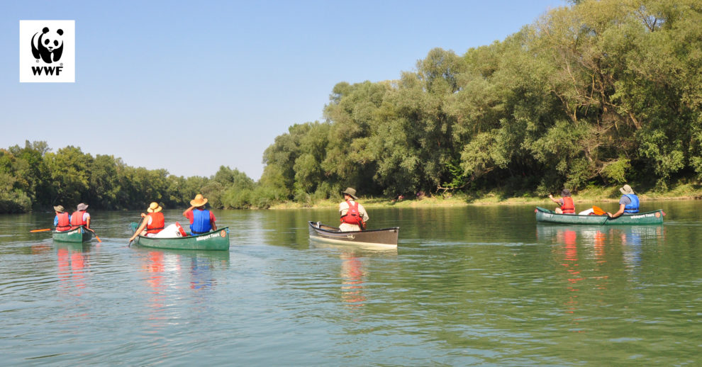 Header Wwf Erlebnistouren Altrhein 2400×1256 Final
