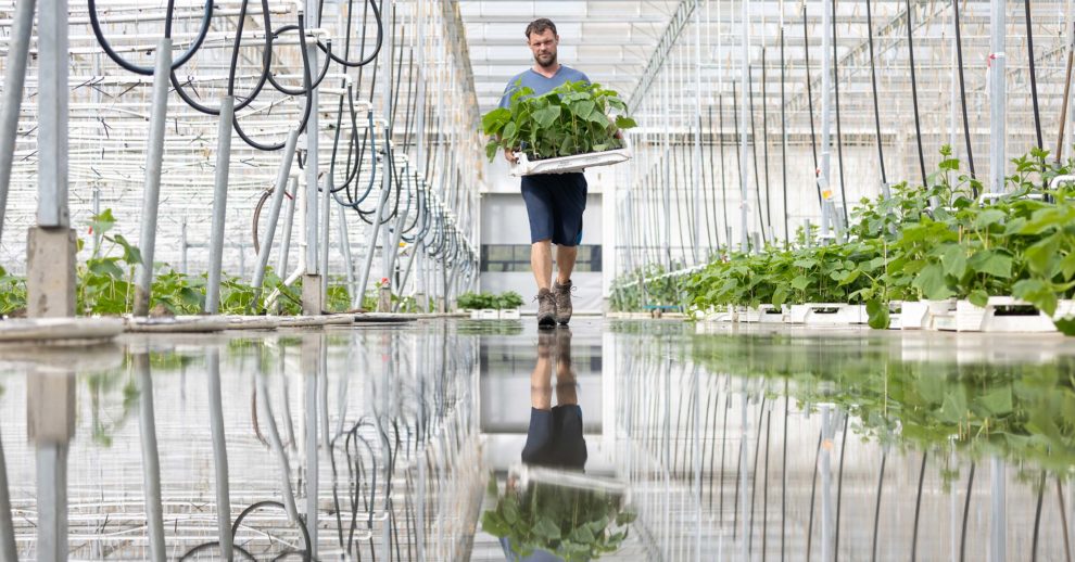 Header 2307 Bio Story #2 Pestalozzi Gewaechshaus X BIO 2400×1256