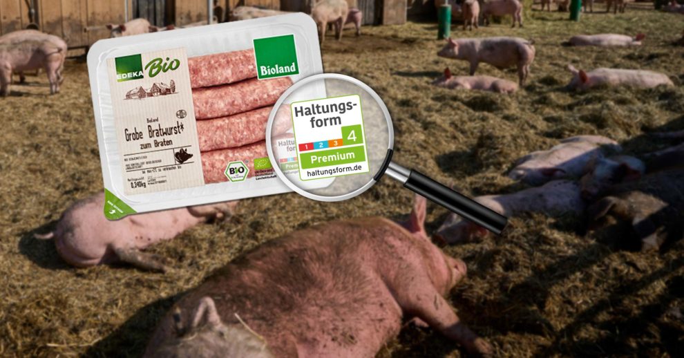 Header 2308 Haltungsformen Verstehen Markenuebersicht X 2400×1256 Neu