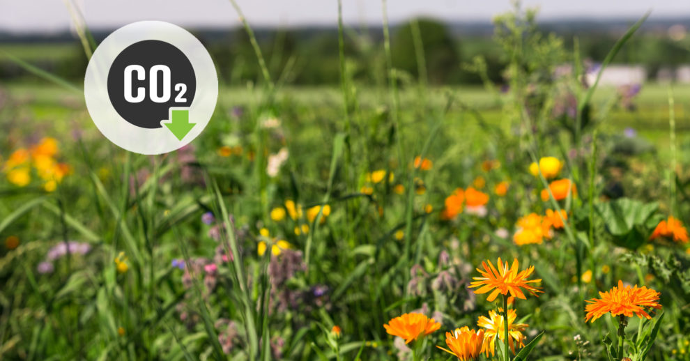 Header 2308 Co2 Reduktion Bei Uh Erzeugerbetrieben X 2400×1256 Final 2