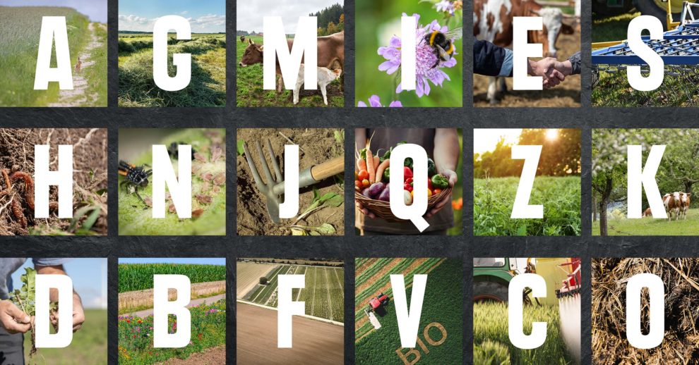 Header KWXX XX Best Of Bio Begriffe 2400×1256 Final