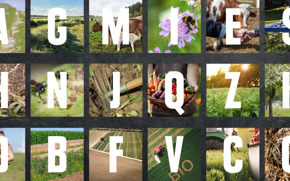 Header KWXX XX Best Of Bio Begriffe 2400×1256 Final