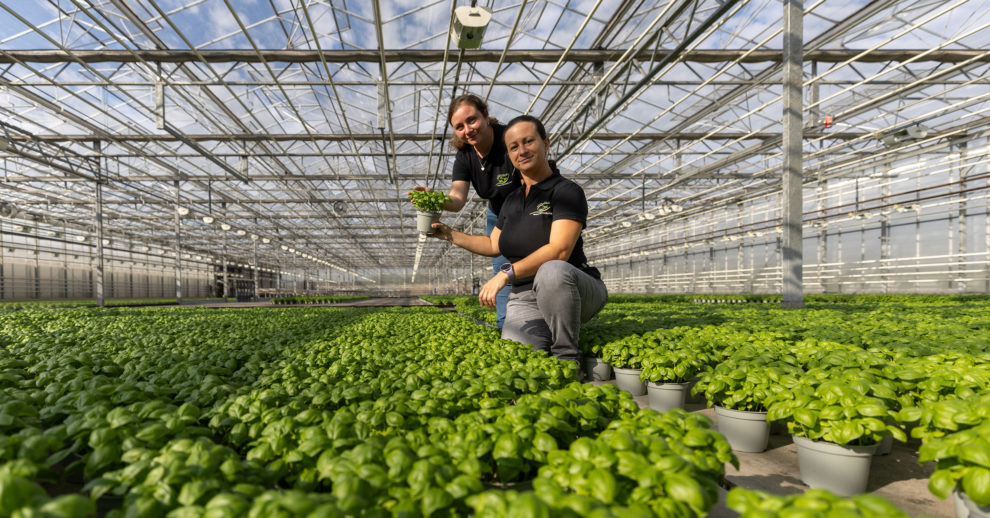 Header 2309 Bio Story #6 XXX Uh Bio Topfkraeuter Mulke X BIO 2400×1256 Neu