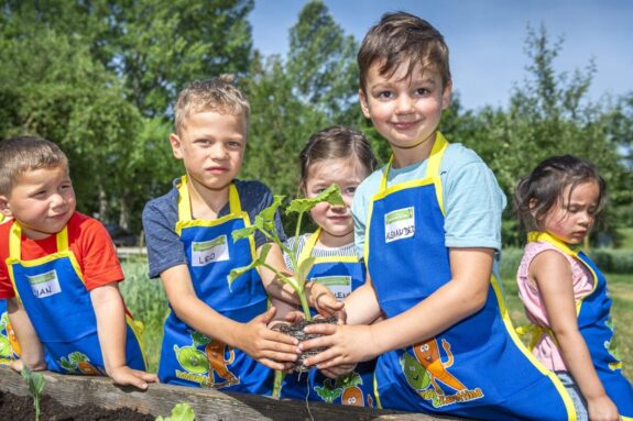 EDEKA Motiv Gemuesebeete Saisonstart 2024
