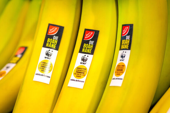 EDEKA Pressemotiv BOAHnane1