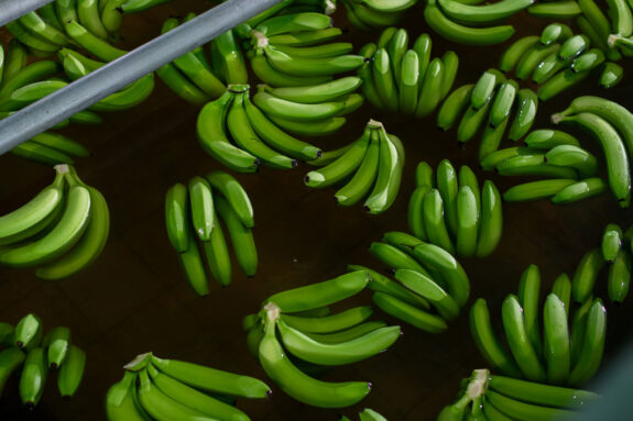 EDEKA Pressemotiv BO~e Bananenfarm 2