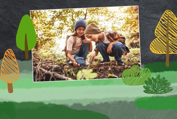 Abenteuer Wald Diy Ideen Fuer Kinder DIY