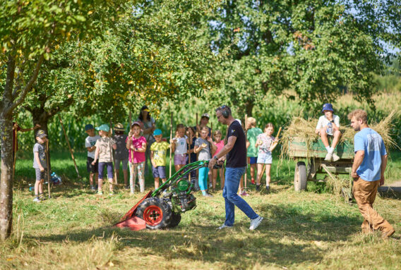 Edeka Nh Jugendfarm 130825 DSC0816 Web