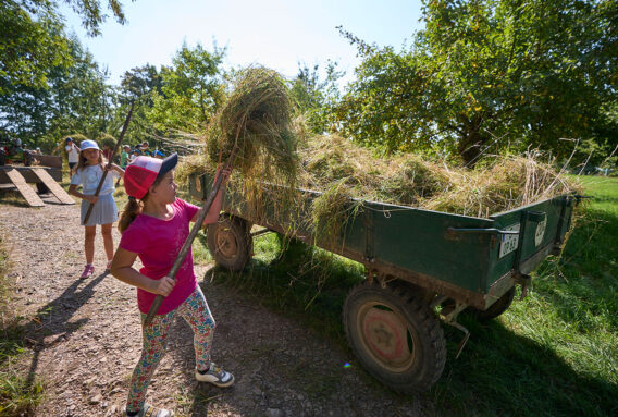 Edeka Nh Jugendfarm 130825 MBA9712 Web