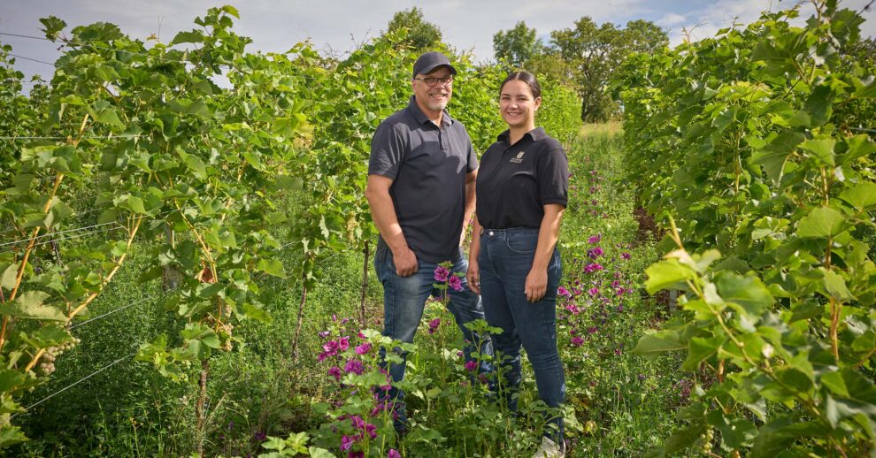 Header 2510 Nachhaltigerer Weinanbau OWK X (P) 2400×1256 Web