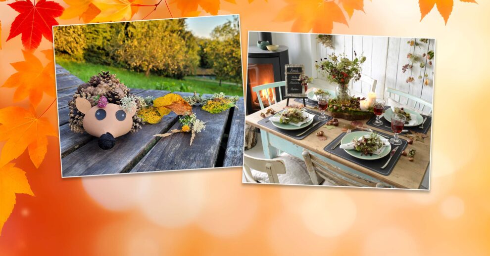 Header 2510 Herbst Basteln Igel Aus Zapfen X 2400×1256 Final