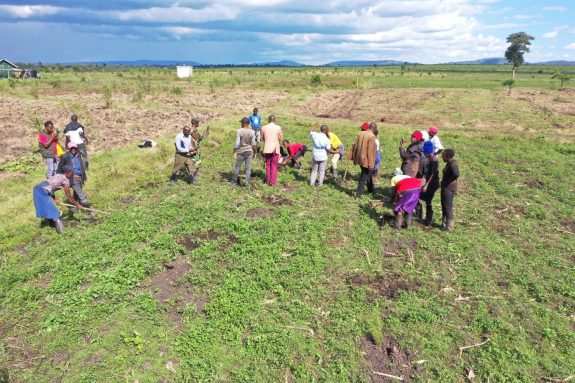 Bild Pflanzende Gemeinde