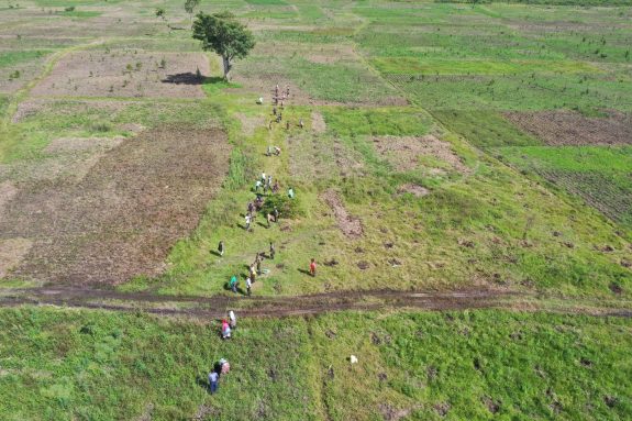 Bild Pflanzende Gemeinde Drohne